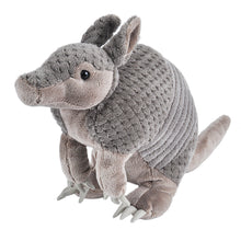 CK Armadillo - 12"