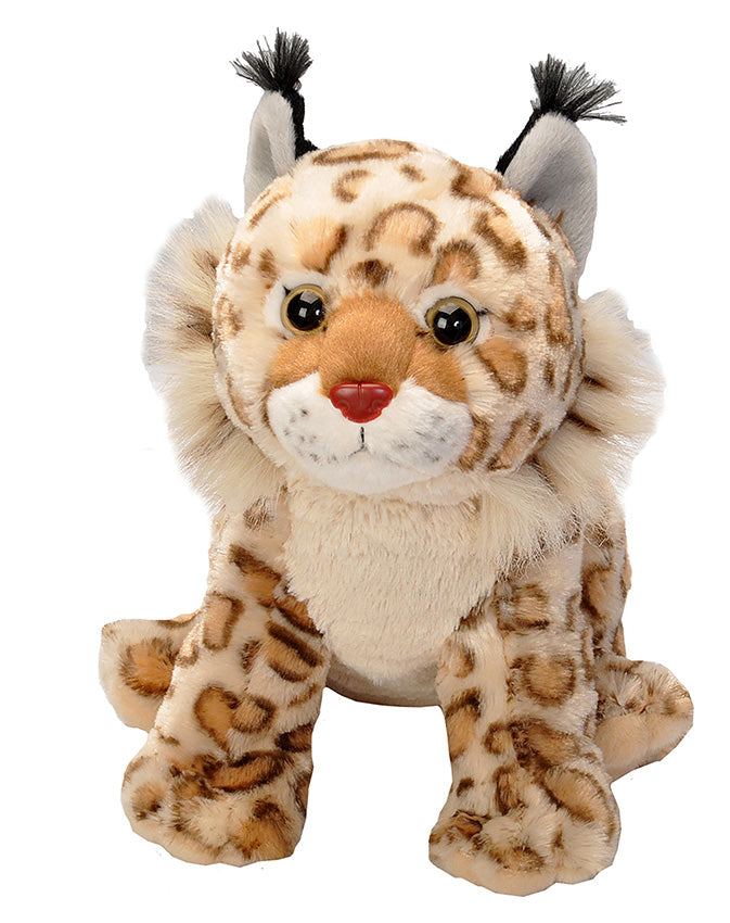 CK Bobcat - 12"