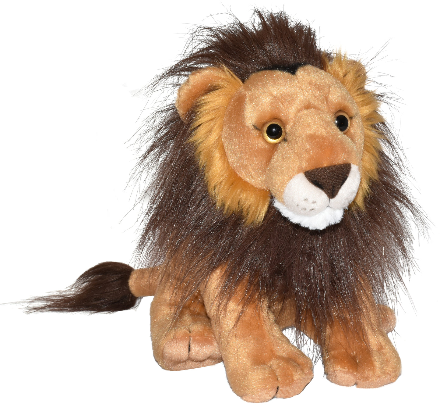 CK Lion - 12"