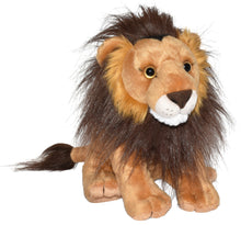 CK Lion - 12"