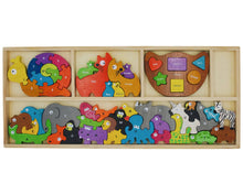 Cat Family Puzzle with Curriculum