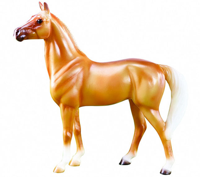 2014 Horse of the Year, Amelia, Appendix Quarter Horse