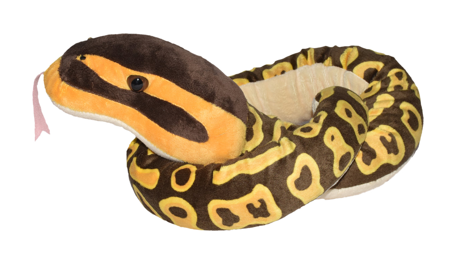 Snake Ball Python - 54"