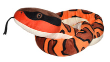 Snake Eastern Cottonmouth 54"