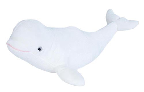 CK Beluga Whale - 12"