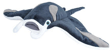 Ck Manta Ray - 12"