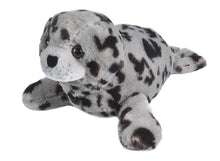 CK Seal Harbor - 12"