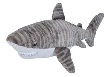 CK Shark Tiger - 12"