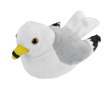 Audubon II Ring Billed Gull - 5.5"