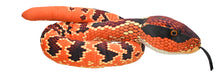 Snake Eastern Cotton Mouth - 54"