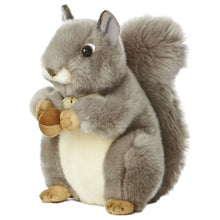 Grey Squirrel - Miyoni 10"
