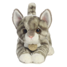 Grey Tabby Kitten - Miyoni 9"