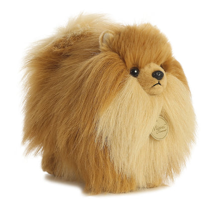 Pomeranian 9"