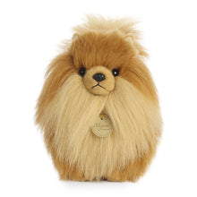 Pomeranian 9"