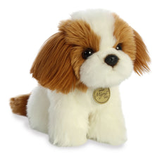 Shih Tzu Pup - Miyoni 11"