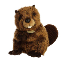 Beaver - Miyoni 9"