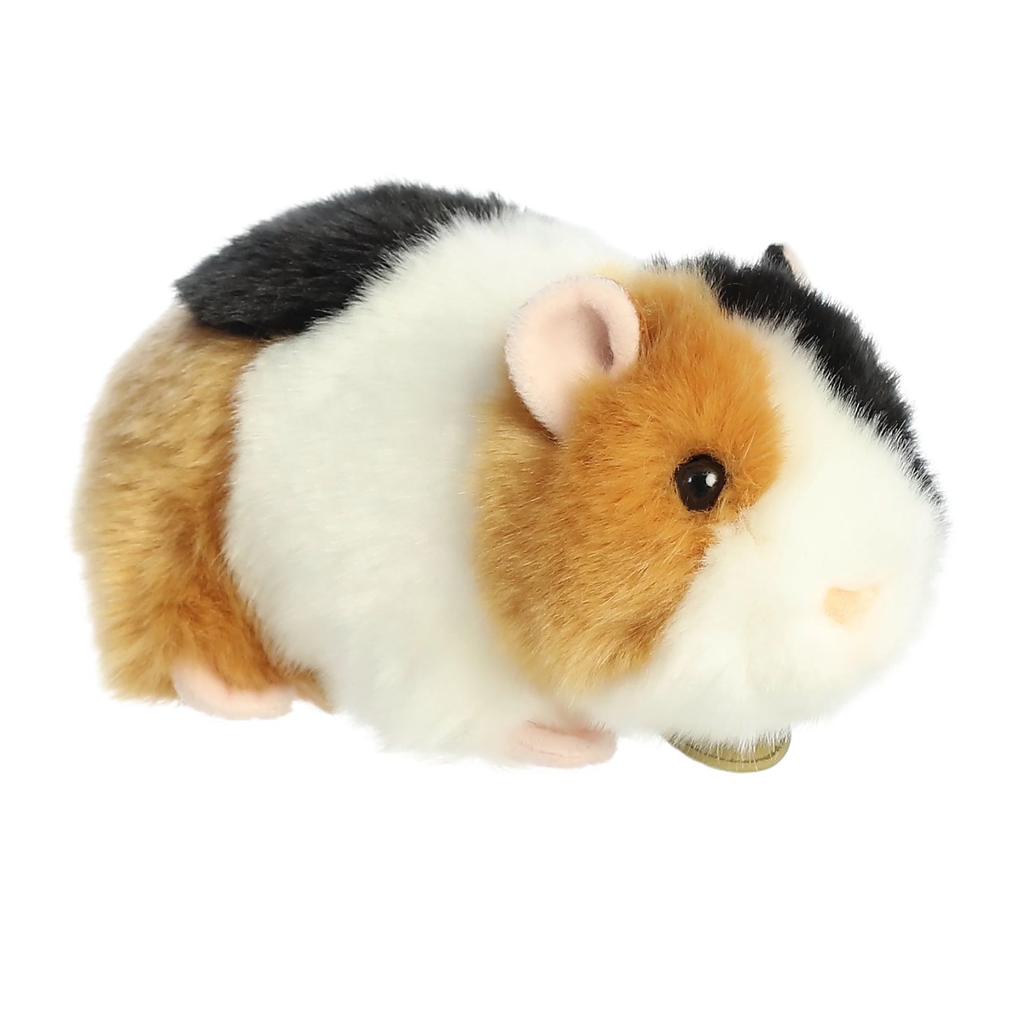 American Guinea Pig - Miyoni 7.5"