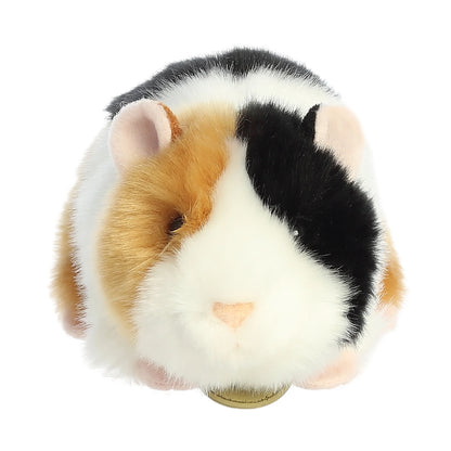 American Guinea Pig - Miyoni 7.5"