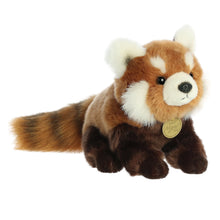 Red Panda Cub - Miyoni 13"