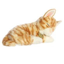Sleepy Orange Tabby Kitten - Miyoni 10"