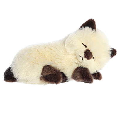 Sleepy Himalayan Kitten - Miyoni 10"