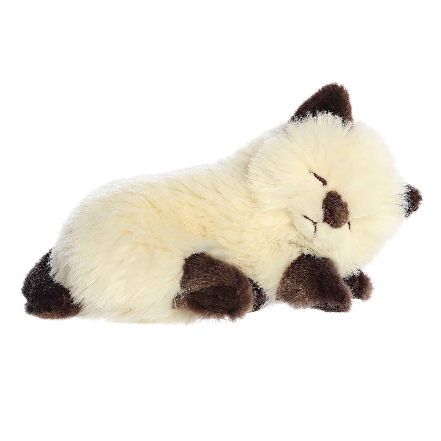Sleepy Himalayan Kitten - Miyoni 10"