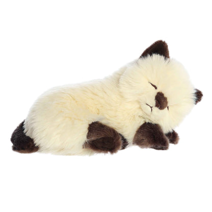 Sleepy Himalayan Kitten - Miyoni 10"