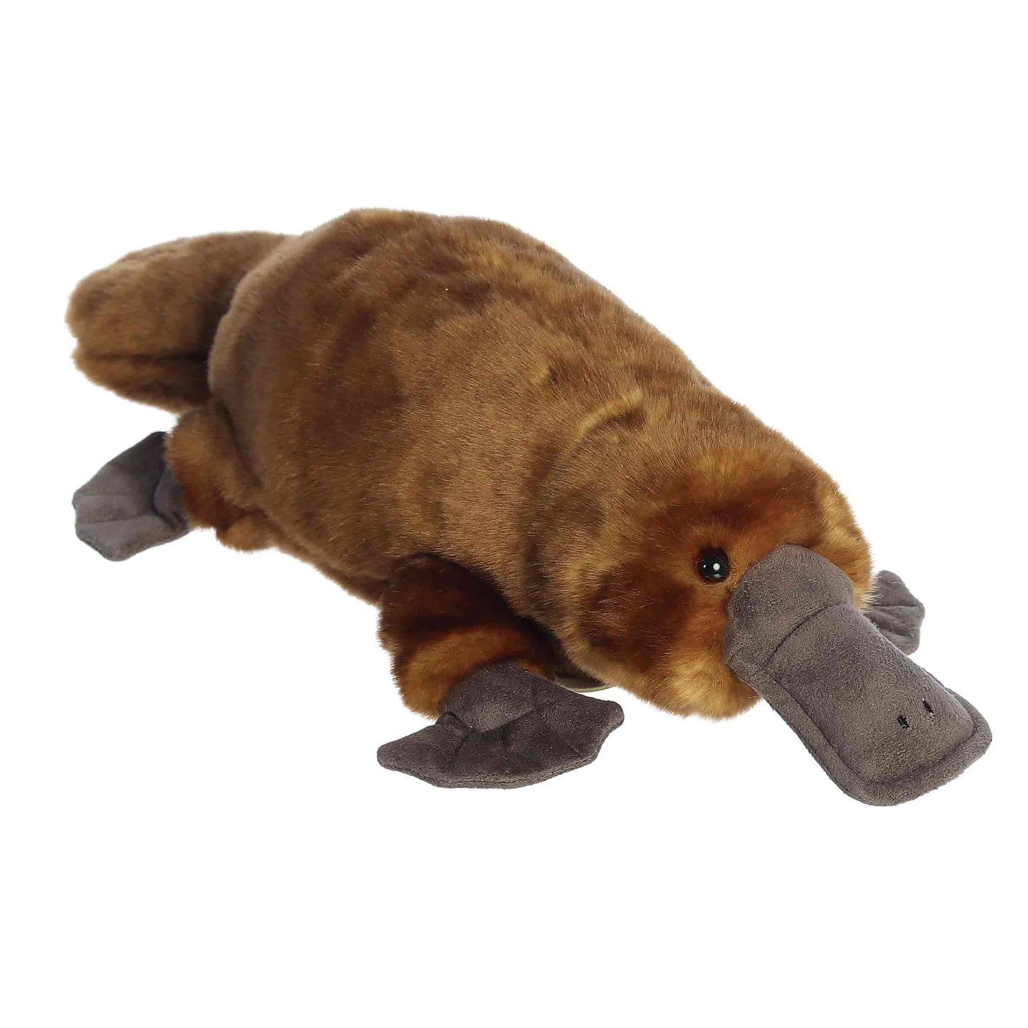 Platypus - Miyoni 14"