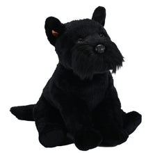 CK Scottish Terrier -12"