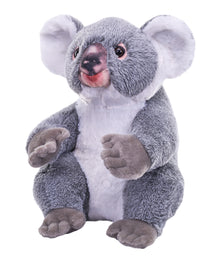 Artist Koala 15"