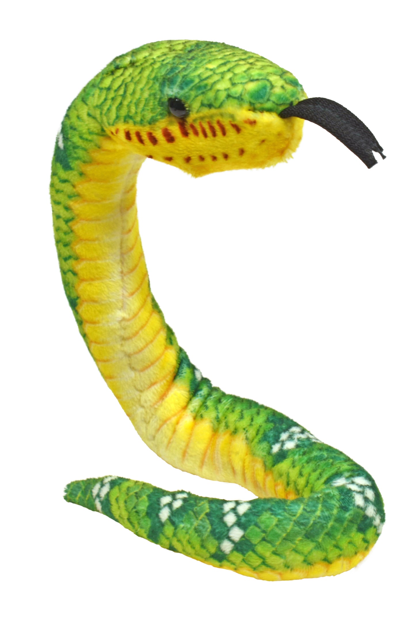 Coilkins Emerald Trea Boa 12"