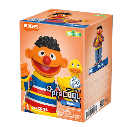 Ernie - Sesame Street preCool 02
