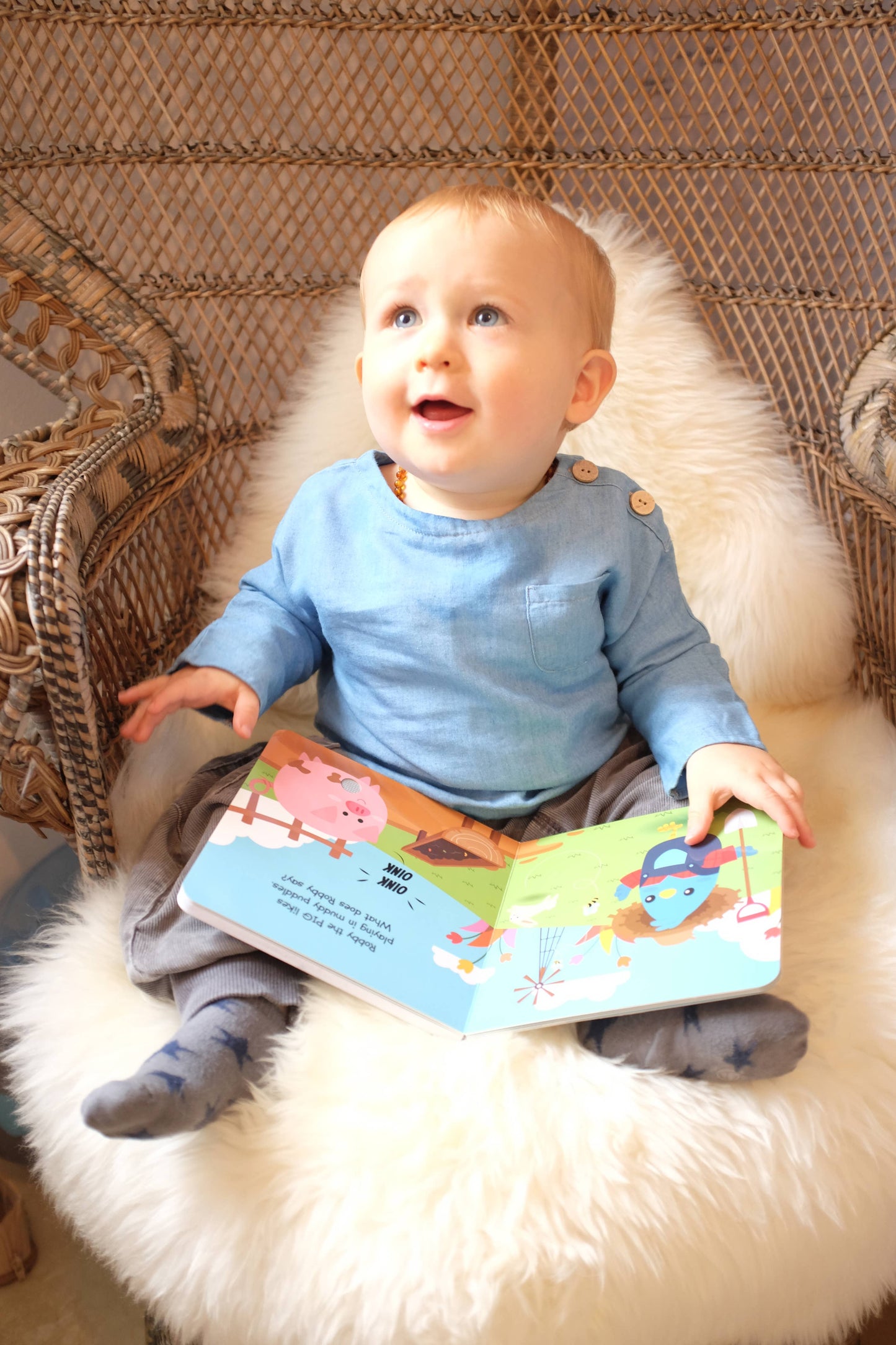 Ditty Bird Farm Animal | Baby Sound Book Farm