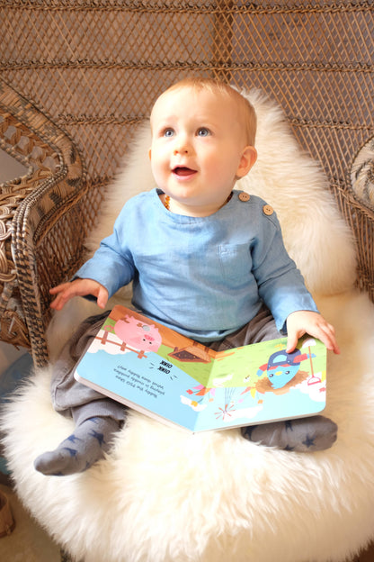 Ditty Bird Farm Animal | Baby Sound Book Farm