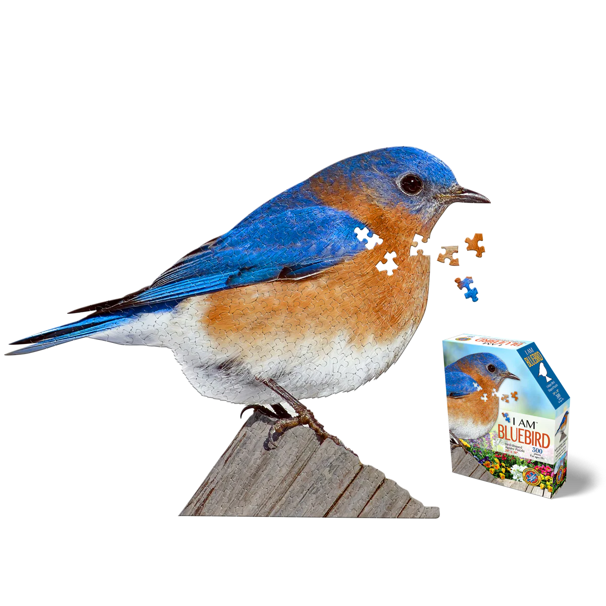 I AM Bluebird 300pc