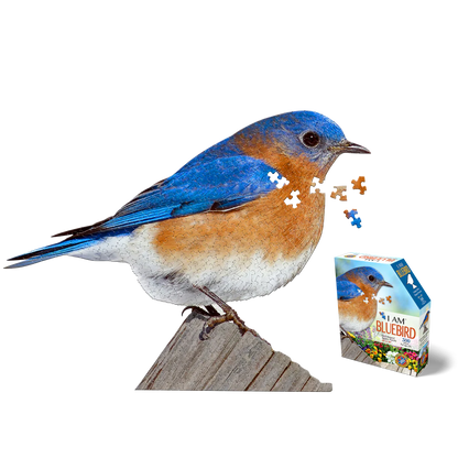 I AM Bluebird 300pc