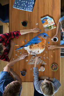 I AM Bluebird 300pc