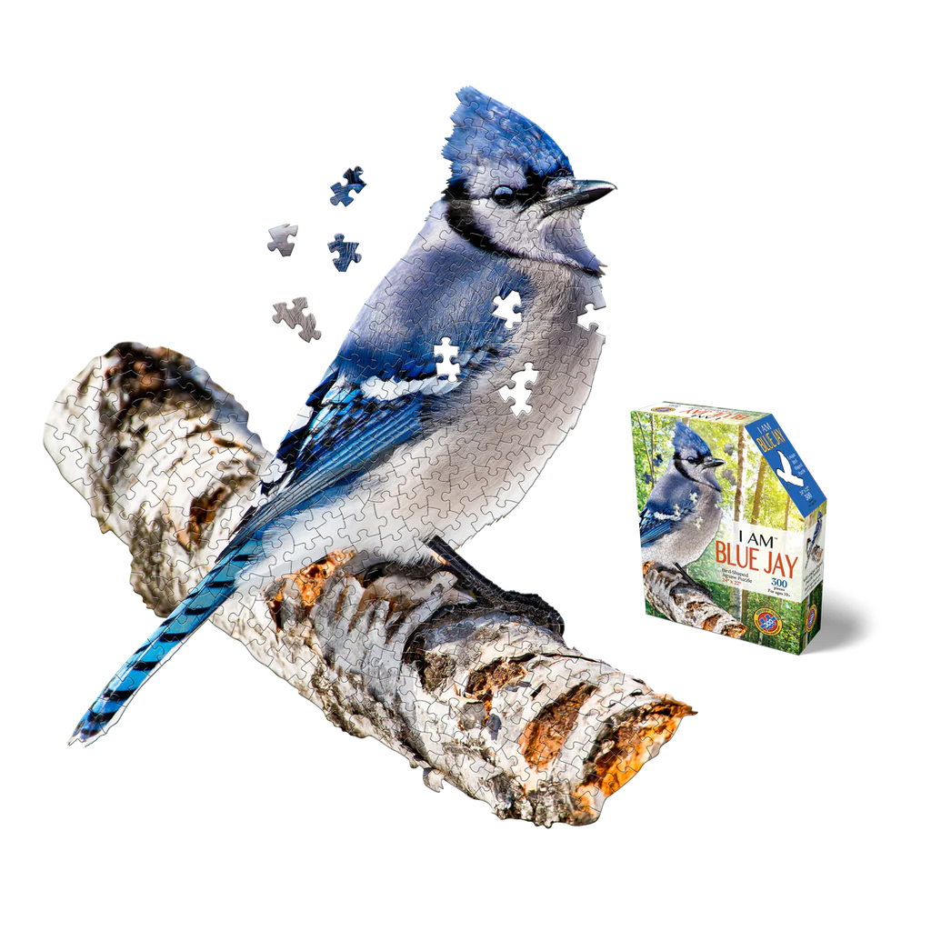 I AM Blue Jay 300pc