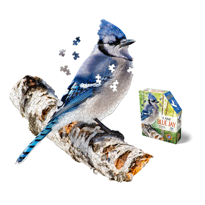 I AM Blue Jay 300pc