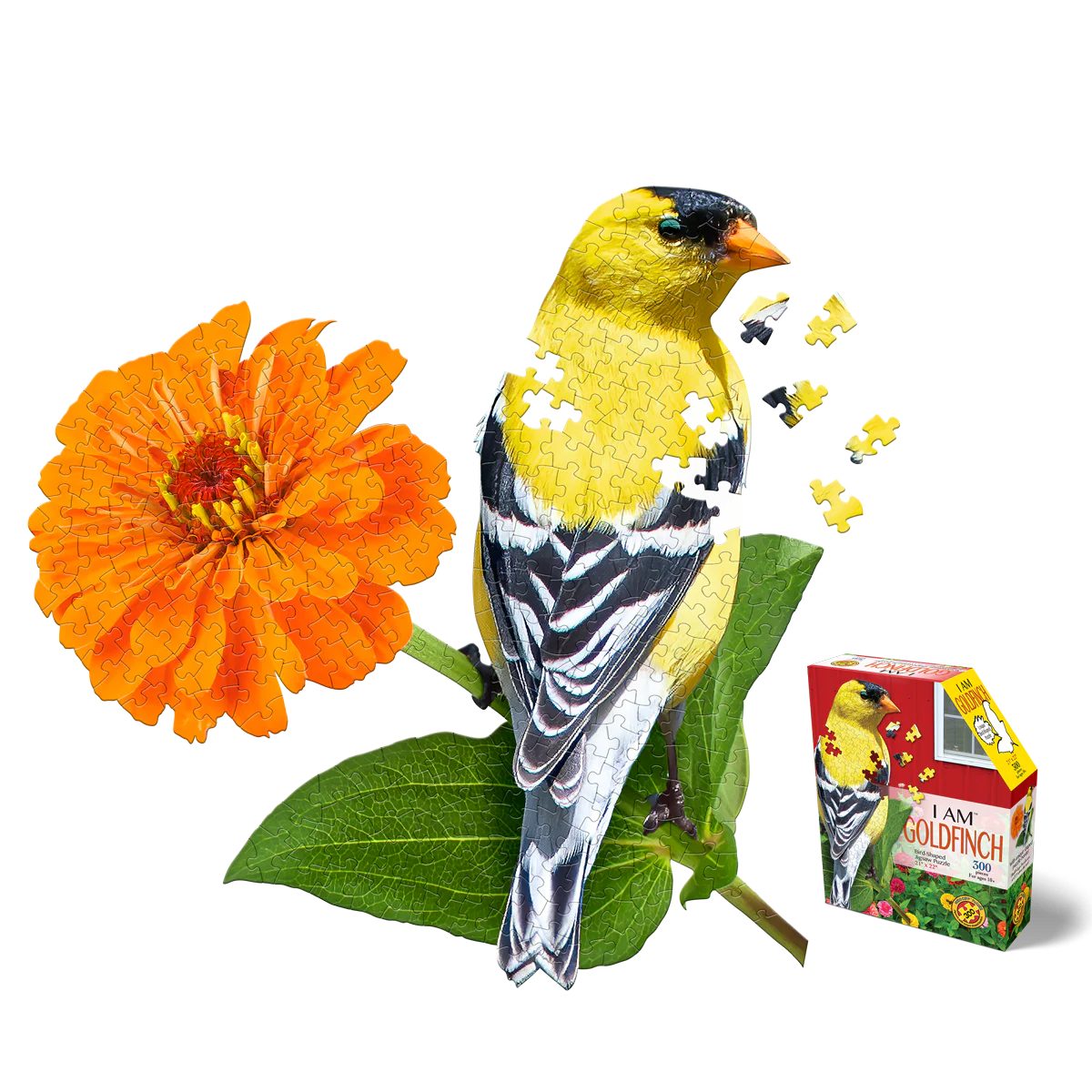 I AM Goldfinch 300pc
