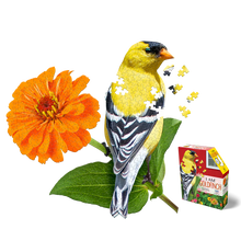 I AM Goldfinch 300pc