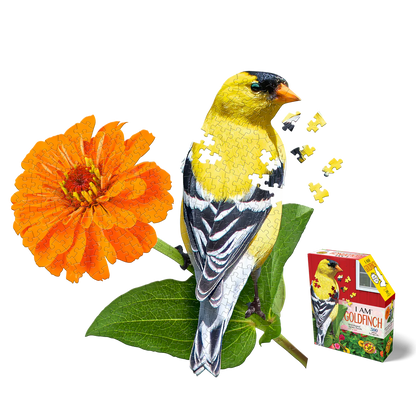 I AM Goldfinch 300pc