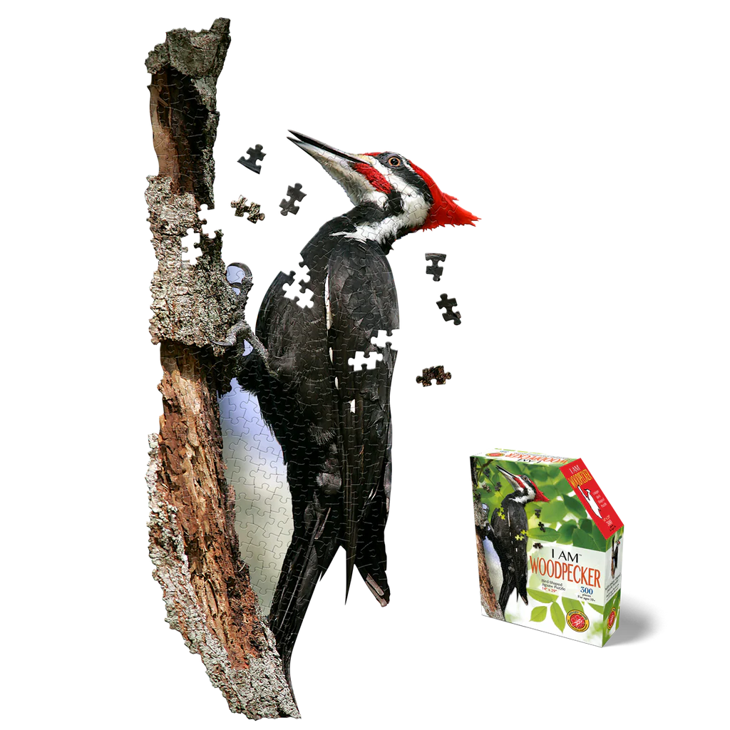 I AM Woodpecker 300pc