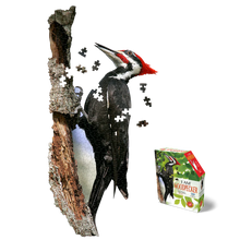I AM Woodpecker 300pc