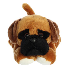 Chad Boxer 12"