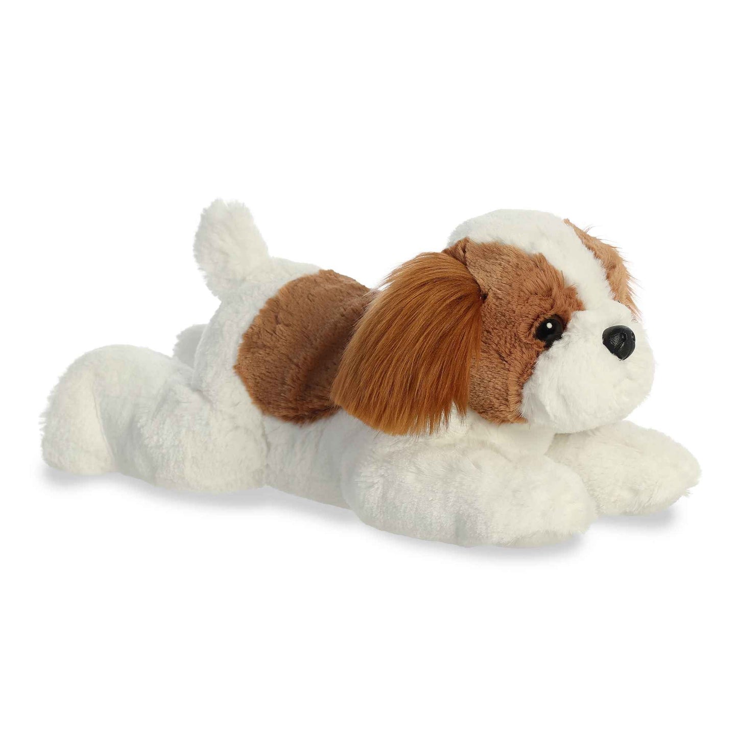 Stella Shih Tzu 12"