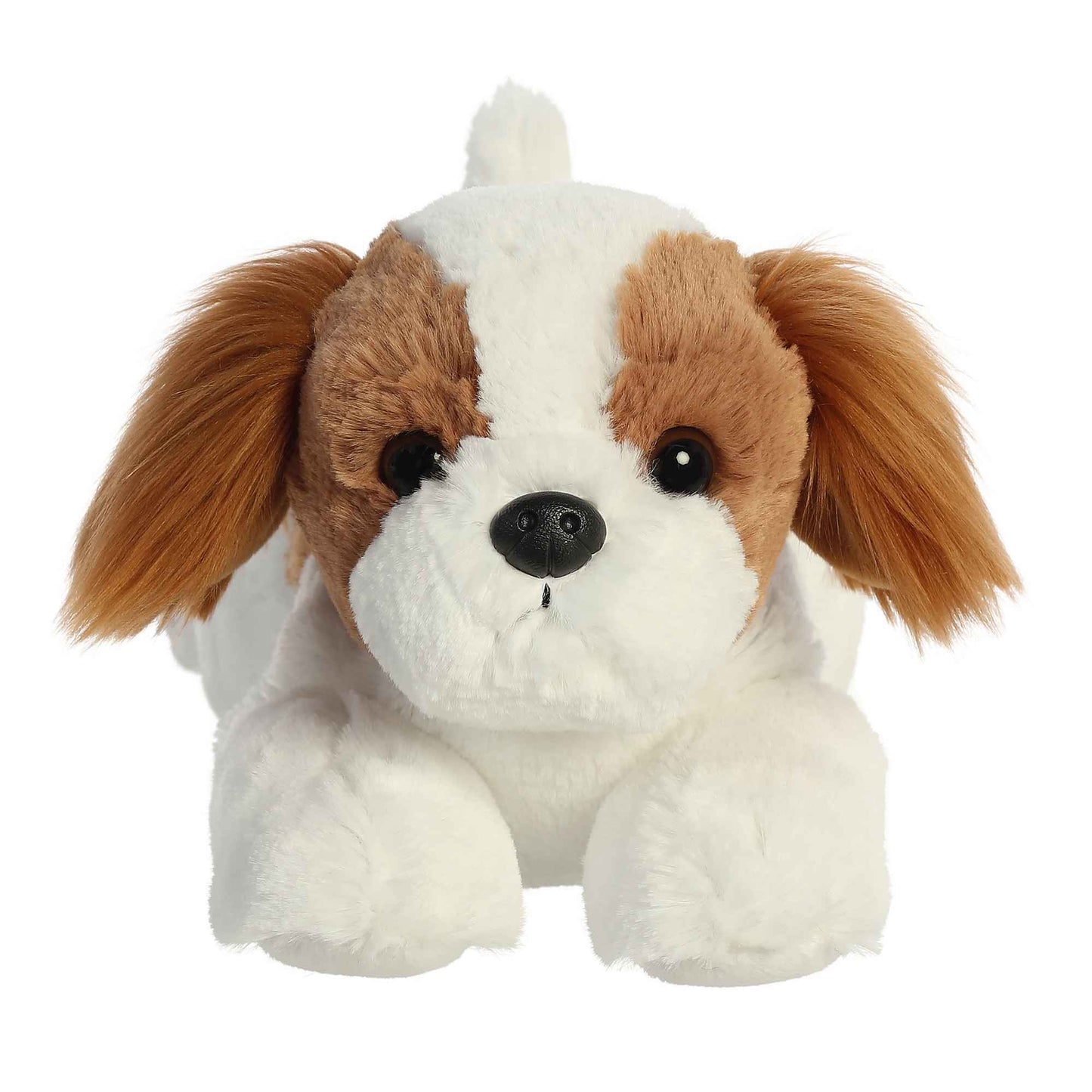 Stella Shih Tzu 12"