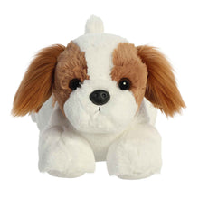 Stella Shih Tzu 12"