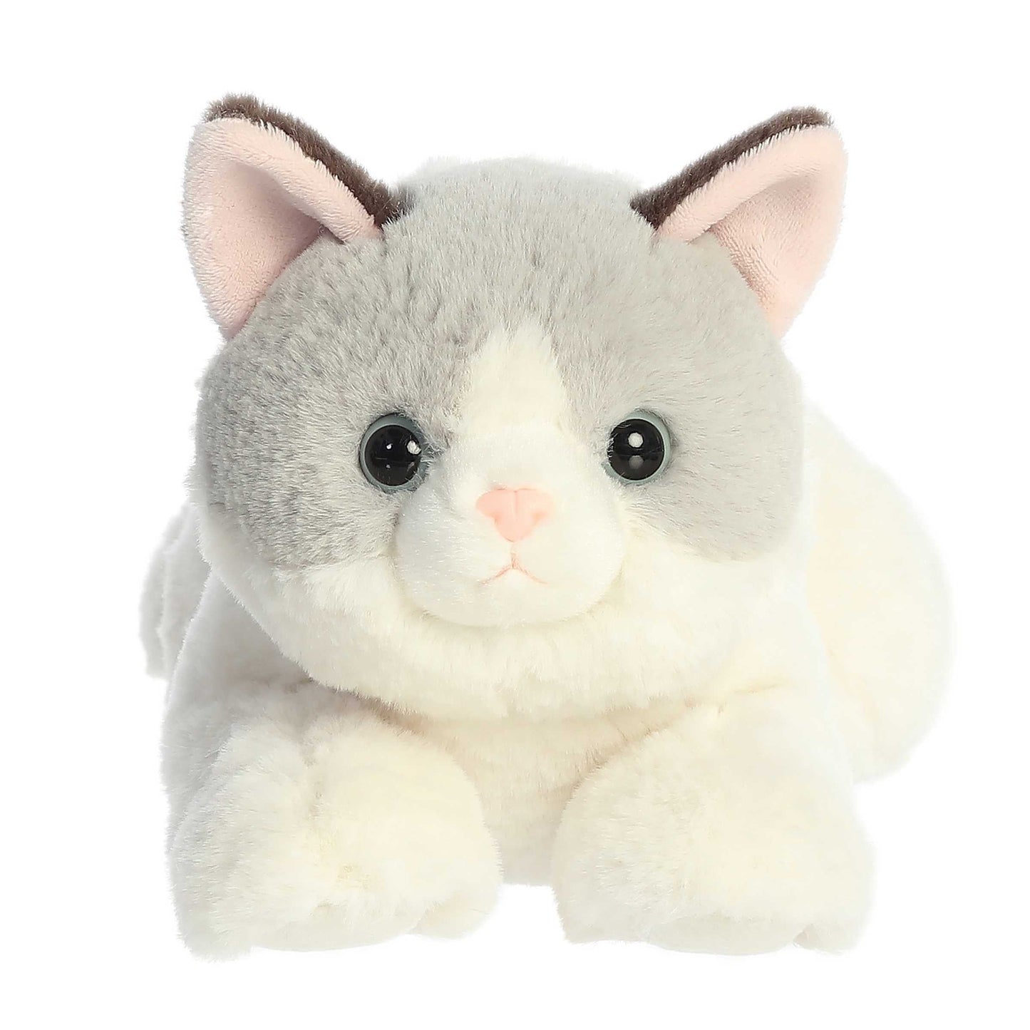 Nico Ragdoll 12"