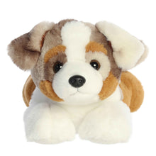 Arlo Australian Shepherd 12"